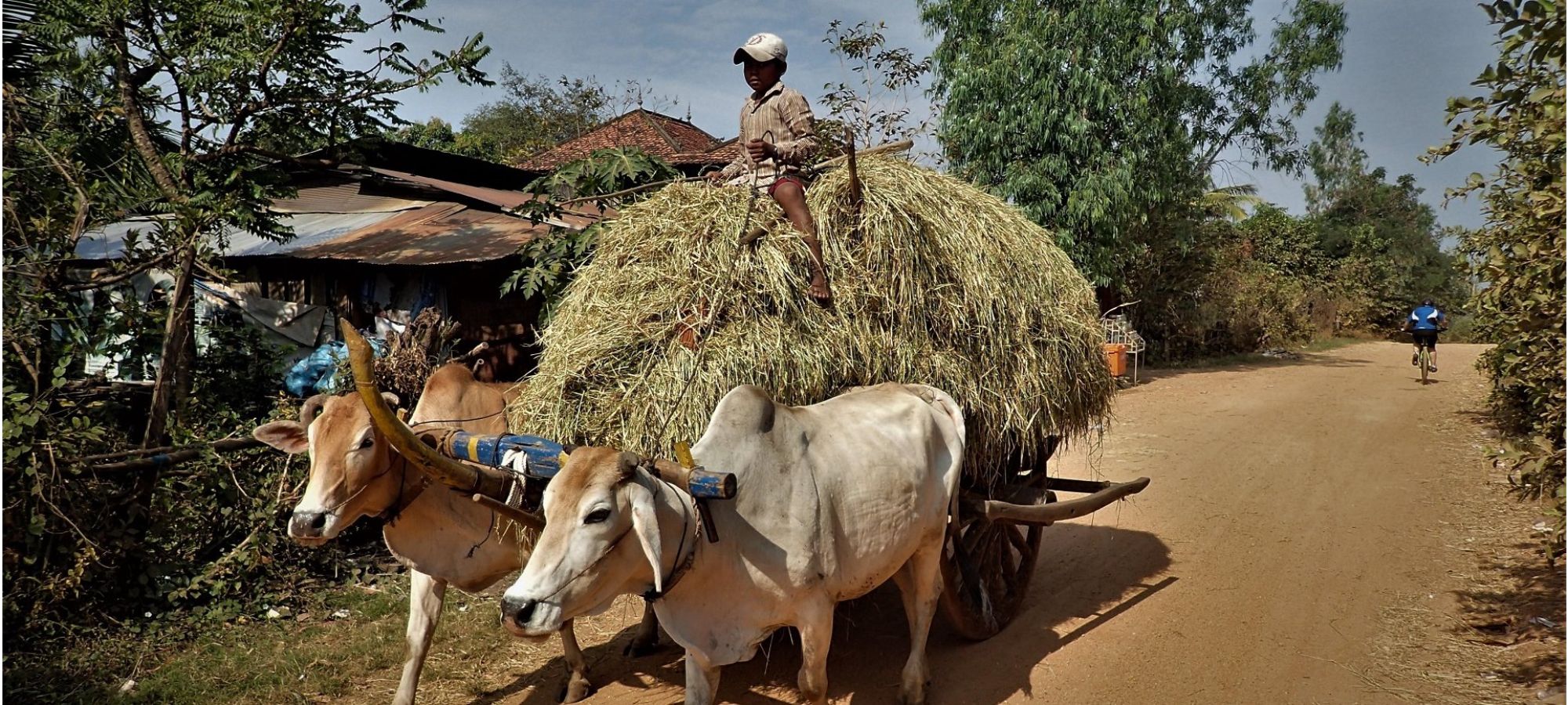 Photos from our Cambodia Cycling Holiday